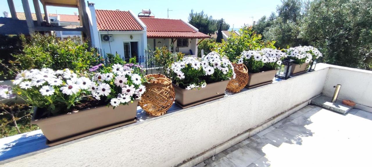 Villa Βianca In Sithonia Gerakini Luaran gambar