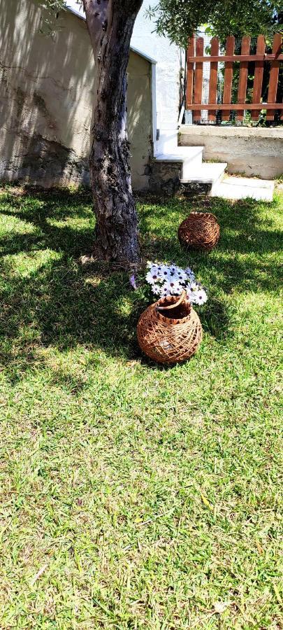 Villa Βianca In Sithonia Gerakini Luaran gambar